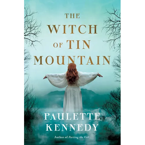 The Witch of Tin Mountain - Paperback
