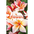 Address Book Flowers - Paperback