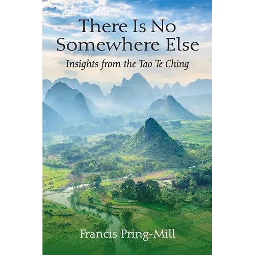 There Is No Somewhere Else: Insights from the Tao Te Ching - Paperback