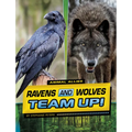 Ravens and Wolves Team Up! - Paperback