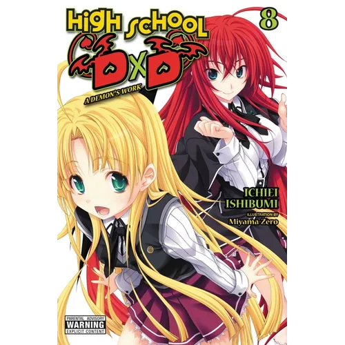 High School DXD, Vol. 8 (Light Novel): A Demon's Work - Paperback