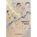 Broken Wing - Paperback