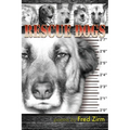 Rescue Dogs - Paperback