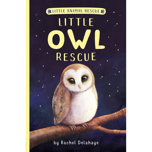 Little Owl Rescue - Paperback