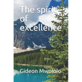The spirit of excellence - Paperback