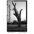Holonym - Paperback