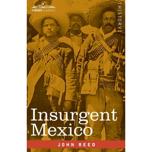Insurgent Mexico