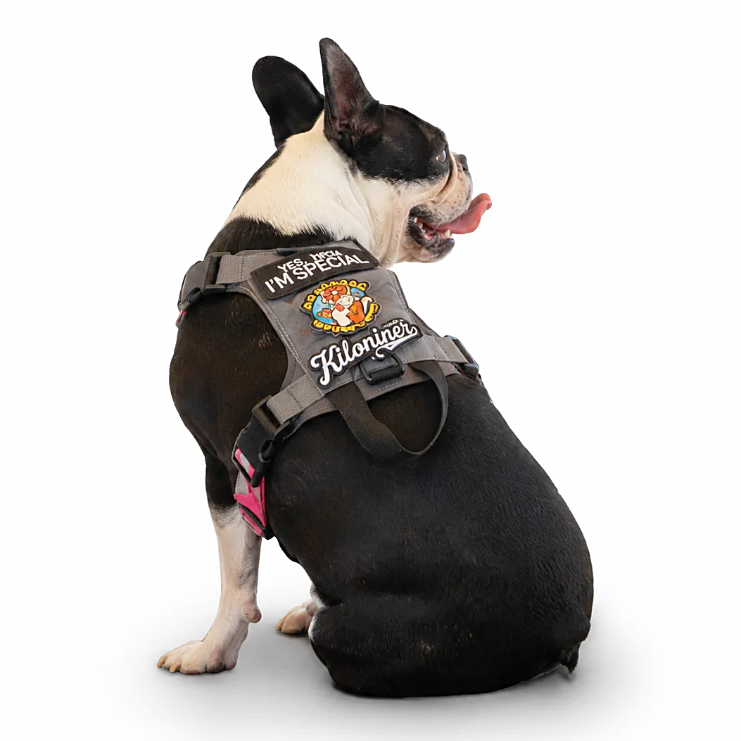 K9R - M1 LightSpeed Harness