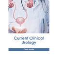 Current Clinical Urology - Hardcover
