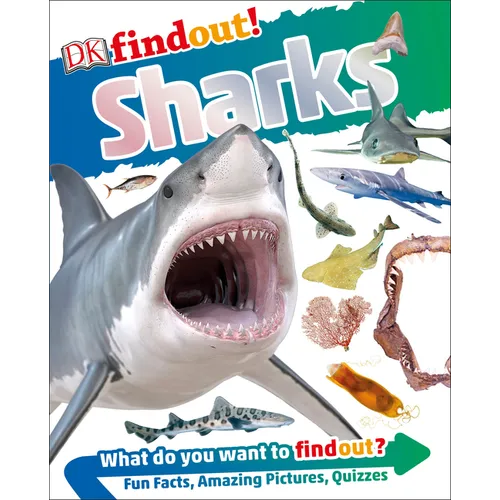 Dkfindout! Sharks - Paperback