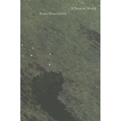 A Several World - Paperback