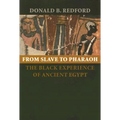 From Slave to Pharaoh: The Black Experience of Ancient Egypt