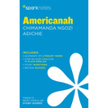 Americanah Sparknotes Literature Guide - Paperback