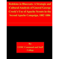 Redskins in Bluecoats: A Strategic and Cultural Analysis of Gneral George Crook's Use of Apache Scouts in the Second Apache Campaign, 1882-18