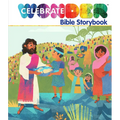 Celebrate Wonder Bible Storybook - Hardcover