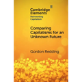 Comparing Capitalisms for an Unknown Future - Paperback