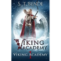 Viking Academy: Viking Academy - Paperback