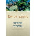 The Book of Small - Paperback