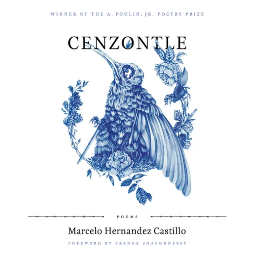 Cenzontle - Paperback