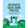 Integrated Social Work Practice: Bridging Micro, Mezzo, and Macro Level Practice - Paperback