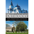 Encounters with Orthodoxy: How Protestant Churches Can Reform Themselves Again - Paperback