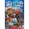 Mule Bone: A Comedy of Negro Life - Paperback