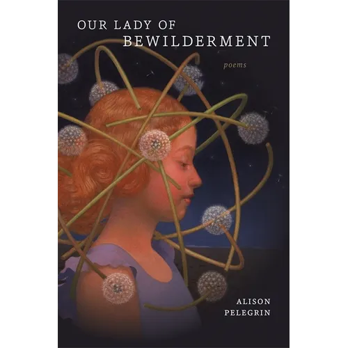 Our Lady of Bewilderment: Poems - Paperback