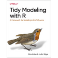 Tidy Modeling with R: A Framework for Modeling in the Tidyverse - Paperback