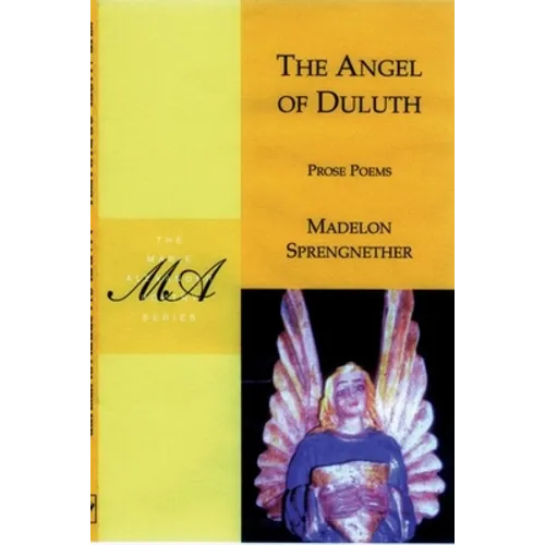 The Angel of Duluth - Paperback