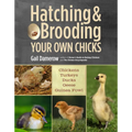 Hatching & Brooding Your Own Chicks: Chickens, Turkeys, Ducks, Geese, Guinea Fowl - Paperback