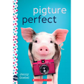 Pigture Perfect: A Wish Novel - Paperback