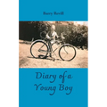 Diary of a Young Boy - Paperback