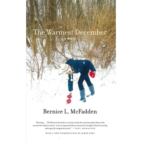 The Warmest December - Paperback
