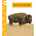 On the Prairie - Paperback