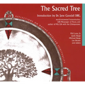 Sacred Tree: Reflections on Native American Spirituality - Paperback