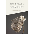 No Small Comfort - Paperback