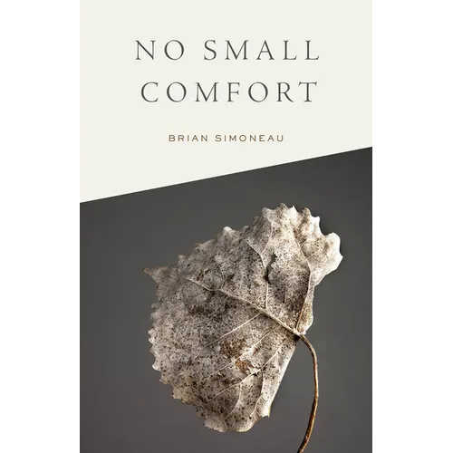No Small Comfort - Paperback