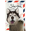 Sherpa, A Letter From Paris - Hardcover
