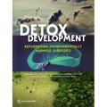Detox Development - Paperback