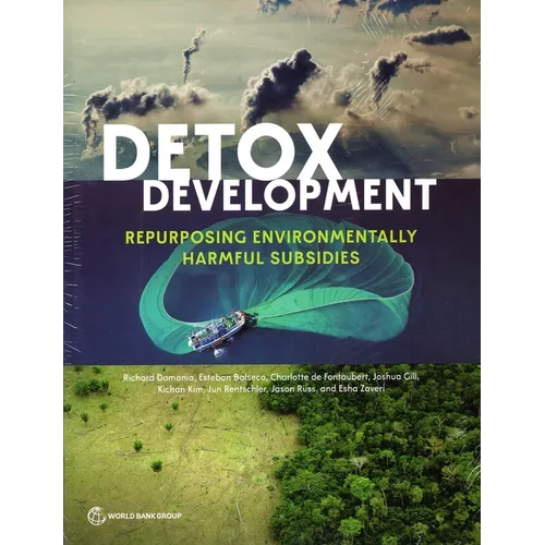 Detox Development - Paperback