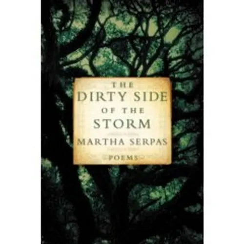 Dirty Side of the Storm - Paperback