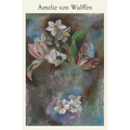 Amelie Von Wulffen - Paperback