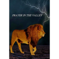Prayer In The Valley - Paperback