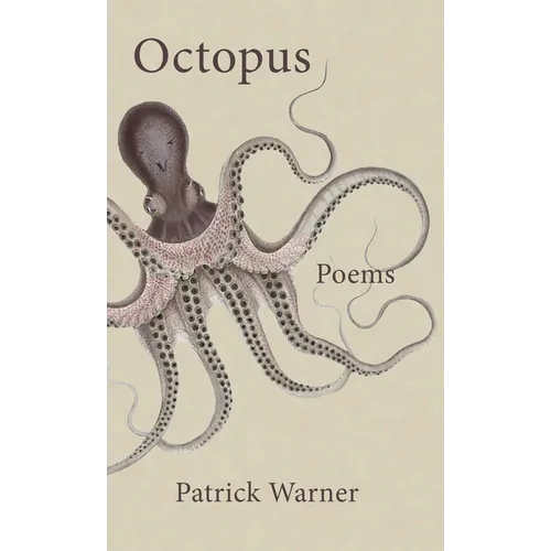 Octopus - Paperback