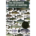 Freshwater Fishes of Manitoba - Paperback
