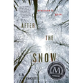 After the Snow - Paperback