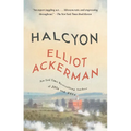 Halcyon - Paperback