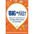 Think Big, Start Small, Move Fast: A Blueprint for Transformation from the Mayo Clinic Center for Innovation - Hardcover