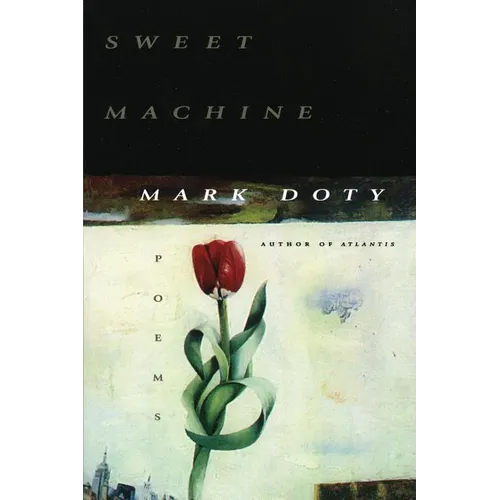 Sweet Machine - Paperback