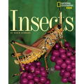 Insects - Paperback